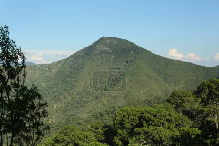 Photo for Big mountain and trees under blue sky on sunny day - Royalty Free Image