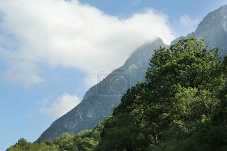 Photo for Big mountains and trees under cloudy sky - Royalty Free Image
