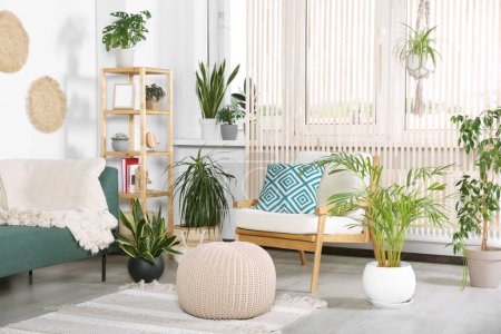 Wohnzimmer-Interieur mit schönen verschiedenen Topfpflanzen und Möbeln. Hausdekoration