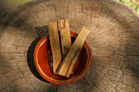 Palo santo sticks on wooden stump, top view