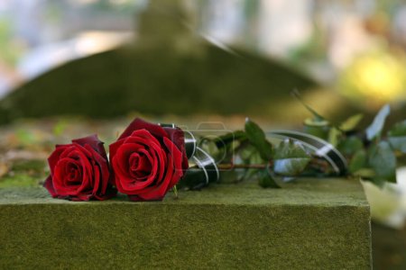 Téléchargez les photos : Roses rouges sur pierre tombale grise à l'extérieur le jour ensoleillé. Cérémonie funéraire - en image libre de droit