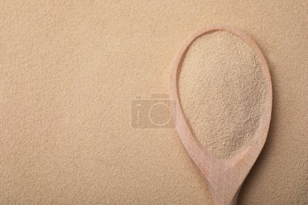 Spoon with granulated yeast, top view. Ingredient for baking