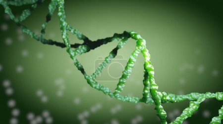 Téléchargez les photos : Structure de l'ADN sur fond vert. Illustration - en image libre de droit