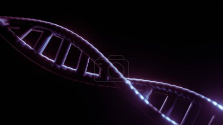 Foto de Estructura del ADN sobre fondo oscuro. Ilustración - Imagen libre de derechos