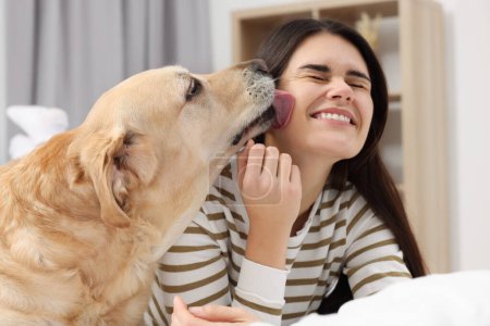 Happy woman with cute Labrador Retriever on bed at home