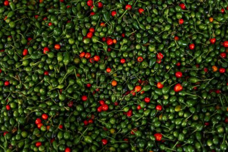 Photo for Heap of fresh delicious chiltepin as background, top view - Royalty Free Image