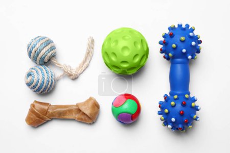 Photo for Pet toys and dog treat on white background, flat lay - Royalty Free Image