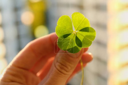Woman holding green clover leaf against blurred background, closeup