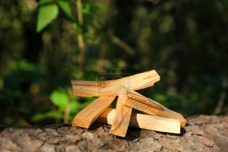 Photo for Palo santo sticks on tree bark outdoors - Royalty Free Image