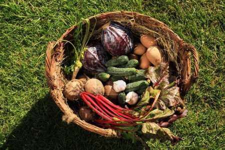 Photo for Different fresh ripe vegetables in wicker basket on green grass, top view - Royalty Free Image