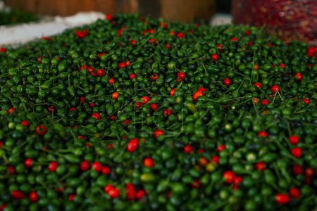 Photo for Heap of fresh delicious chiltepin on counter at market - Royalty Free Image
