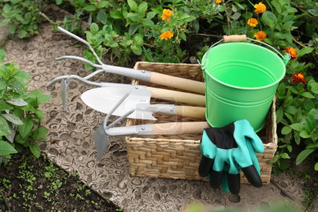 Wicker basket with gloves, bucket and gardening tools near flowers outdoors