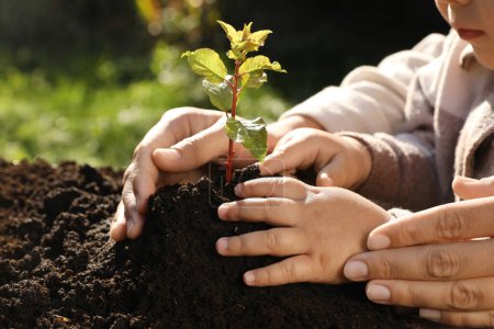 Photo for Mother and daughter planting young tree in garden, closeup - Royalty Free Image