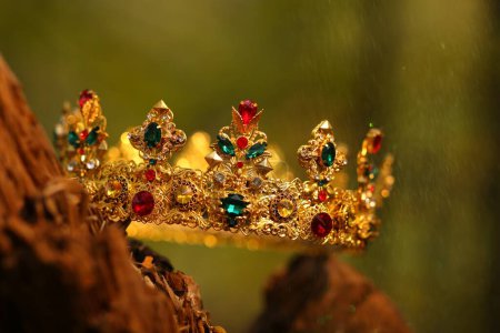 Téléchargez les photos : Belle couronne dorée sur bois à l'extérieur, gros plan. Article fantaisie - en image libre de droit