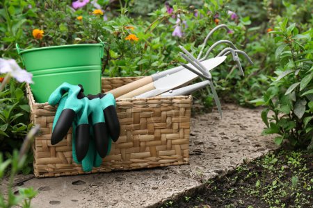 Téléchargez les photos : Panier en osier avec gants, seau et outils de jardinage près des fleurs à l'extérieur - en image libre de droit