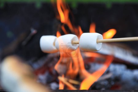 Téléchargez les photos : Délicieux guimauves gonflées rôtissant sur le feu de joie, gros plan - en image libre de droit