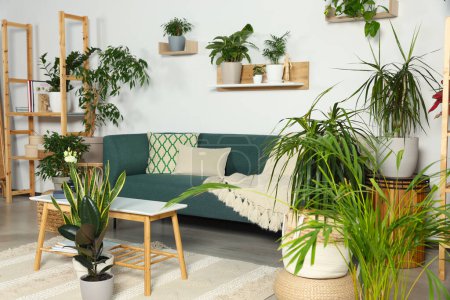Téléchargez les photos : Salon intérieur avec de belles plantes vertes en pot différentes et des meubles. Décor de maison - en image libre de droit
