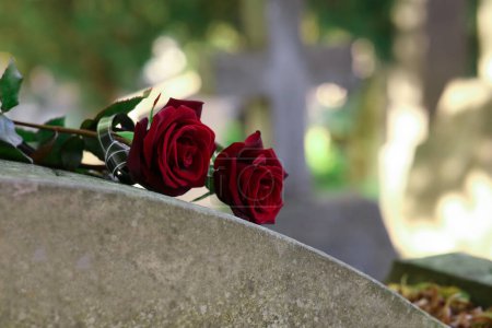 Red roses on grey tombstone outdoors on sunny day, space for text. Funeral ceremony
