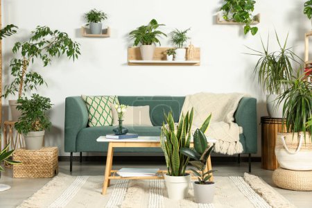 Téléchargez les photos : Salon intérieur avec de belles plantes vertes en pot différentes et des meubles. Décor de maison - en image libre de droit