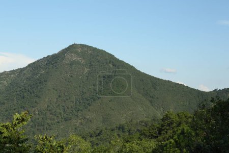 Photo for Picturesque view of big mountain and trees under blue sky - Royalty Free Image