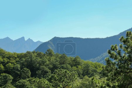 Photo for Picturesque view of high mountains and trees - Royalty Free Image