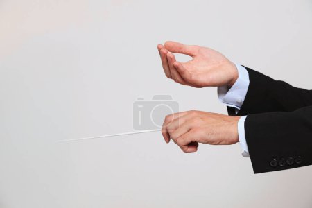 Foto de Conductor profesional con bastón sobre fondo gris claro, primer plano. Espacio para texto - Imagen libre de derechos
