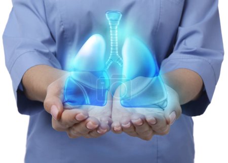 Foto de Doctor demostrando imagen digital de pulmones humanos sobre fondo blanco, primer plano - Imagen libre de derechos