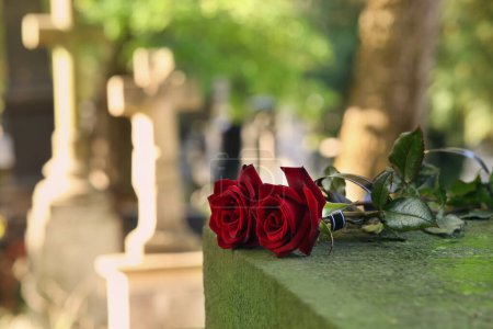 Foto de Rosas rojas en lápidas grises al aire libre en un día soleado, espacio para el texto. Ceremonia funeraria - Imagen libre de derechos