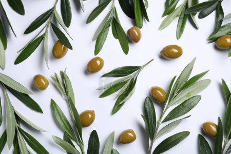 Téléchargez les photos : Brindilles aux olives et feuilles vertes fraîches sur fond blanc, étendues à plat - en image libre de droit