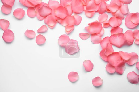 Foto de Hermosa rosa pétalos de flores sobre fondo blanco, vista superior - Imagen libre de derechos