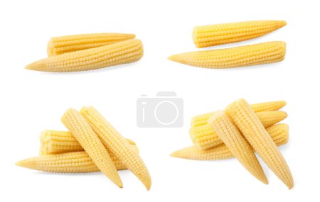 Foto de Set con sabroso maíz en vinagre bebé sobre fondo blanco - Imagen libre de derechos