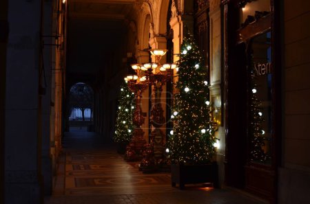 Téléchargez les photos : Paris, France - 10 décembre 2022 : Arbres de Noël et élégants lampadaires près du bâtiment le soir - en image libre de droit