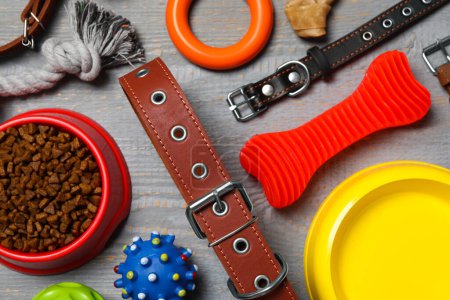 Composición plana con collares para perros, juguetes y comida sobre mesa de madera gris