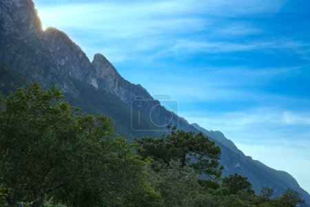Photo for Big mountains and trees under blue sky on sunny day - Royalty Free Image