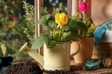 Photo for Watering cans with beautiful roses on wooden windowsill - Royalty Free Image
