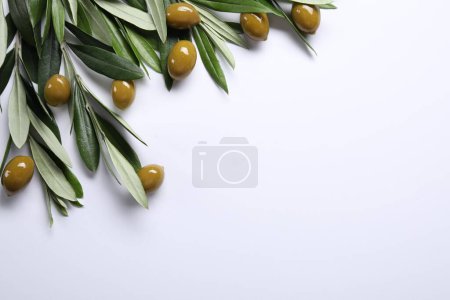 Téléchargez les photos : Olives vertes fraîches et feuilles sur fond blanc, à plat. Espace pour le texte - en image libre de droit