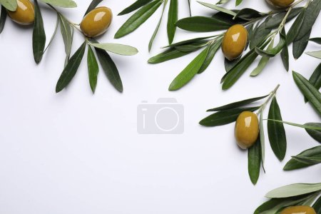 Téléchargez les photos : Brindilles aux olives et feuilles vertes fraîches sur fond blanc, étendues à plat. Espace pour le texte - en image libre de droit
