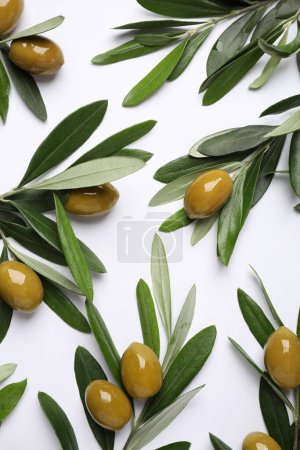 Téléchargez les photos : Brindilles aux olives et feuilles vertes fraîches sur fond blanc, étendues à plat - en image libre de droit