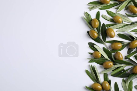 Téléchargez les photos : Brindilles aux olives et feuilles vertes fraîches sur fond blanc, étendues à plat. Espace pour le texte - en image libre de droit