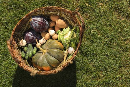 Photo for Different fresh ripe vegetables in wicker basket on grass, above view. Space for text - Royalty Free Image
