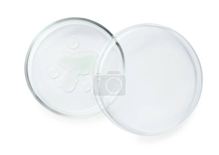 Photo for Petri dishes with different liquids on white background, top view - Royalty Free Image
