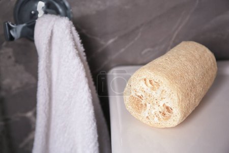 Photo for Natural loofah sponge on washbasin in bathroom, closeup - Royalty Free Image