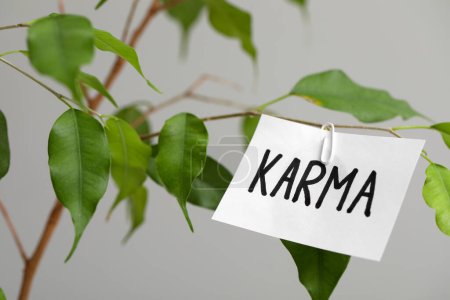 Téléchargez les photos : Sheet of paper with word Karma on branch against grey background, closeup - en image libre de droit