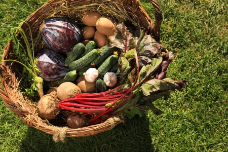 Photo for Different fresh ripe vegetables in wicker basket on green grass, above view - Royalty Free Image