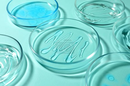 Foto de Petri platos con líquidos sobre fondo turquesa, primer plano - Imagen libre de derechos