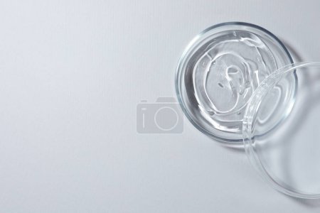 Placa Petri con líquido sobre fondo blanco, vista superior. Espacio para texto