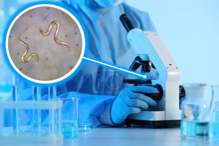 Téléchargez les photos : Laboratory worker using modern microscope to examine helminths, closeup. Zoomed view on parasitic worms - en image libre de droit