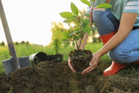 Young woman planting tree in countryside, closeup