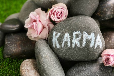 Téléchargez les photos : Stone with word Karma and beautiful flowers on green grass, closeup - en image libre de droit