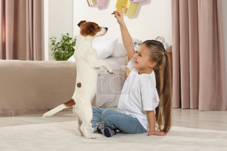 Photo for Cute girl training her playful dog on floor at home. Adorable pet - Royalty Free Image